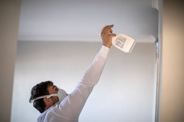 Best Crawl Space Mold Remediation in Milpitas, CA