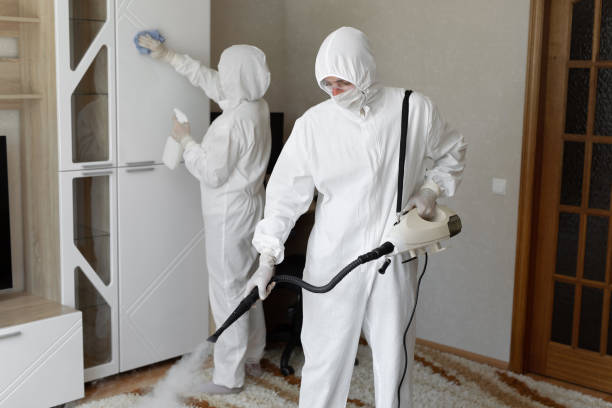 Best Post-Flood Mold Remediation in Milpitas, CA