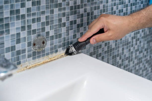 Reliable Milpitas, CA Mold Remediation Solutions