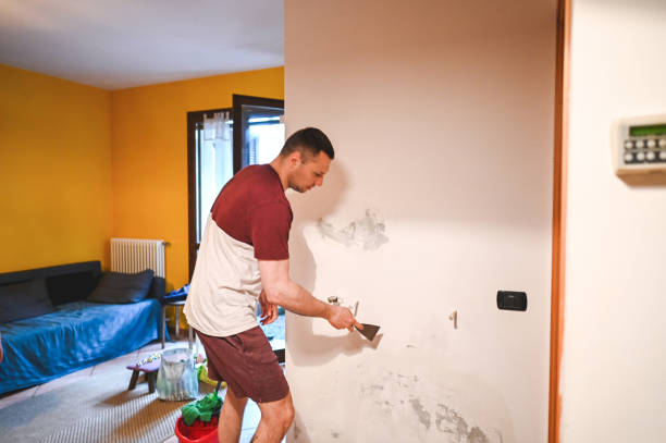 Best Preventive Mold Services in Milpitas, CA